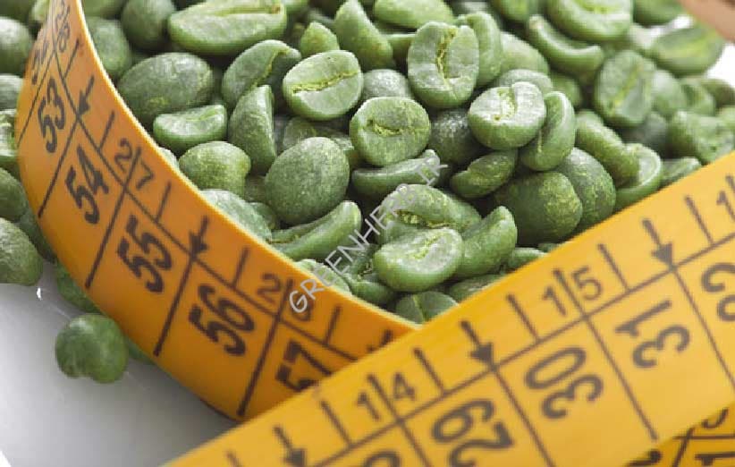 قهوه سبز؛ دانه تلخ با خواص شیرین, (3)