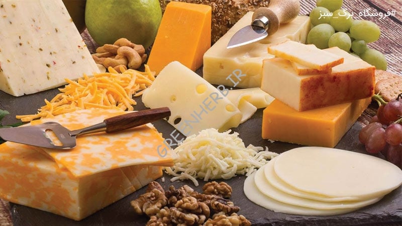 محبوب ترین پنیر ها