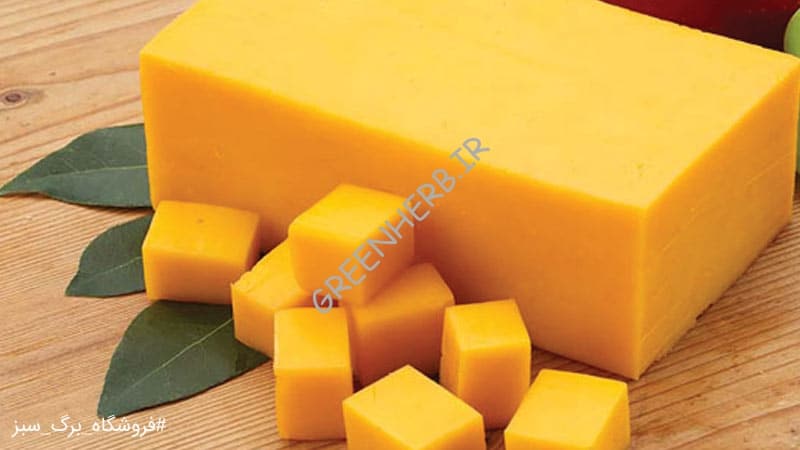 محبوب ترین پنیر ها