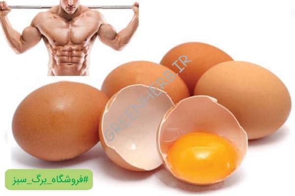 10 اتفاقی که با خوردن سفیده تخم مرغ در بدن شما رخ می دهد!