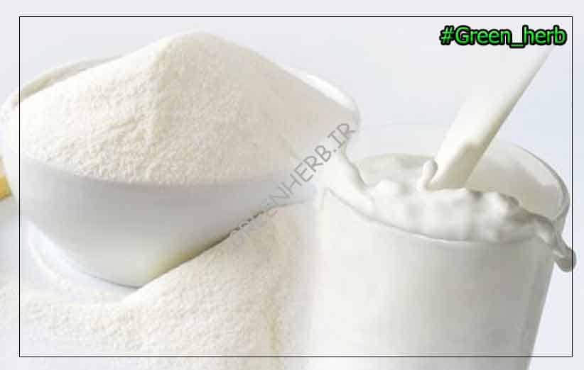 پروتئین های شیر : کدام برای عضله سازی مناسب است؟