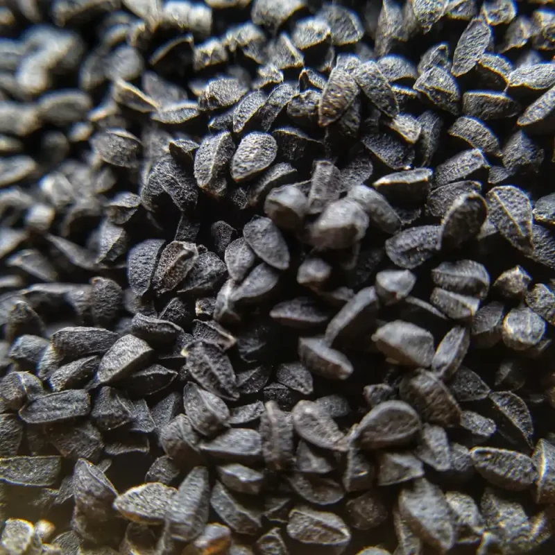 سیاه دانه هندی 150 گرمی ادویه و چاشنی برگ سبز